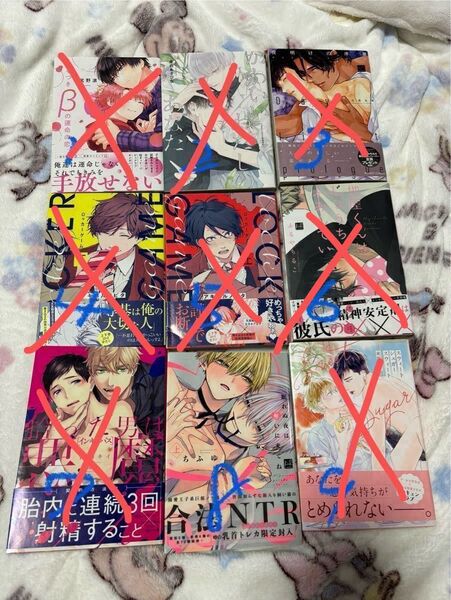BLまとめ⑥ 1冊100円+送料200円