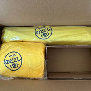 KIRIN/キリンのどごし『 夏!大満喫セット(エアーマット+シェード)』