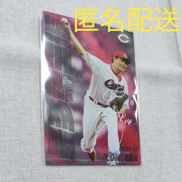 カルビー プロ野球チップス2025 第1弾(大瀬良大地 広島東洋カープ)