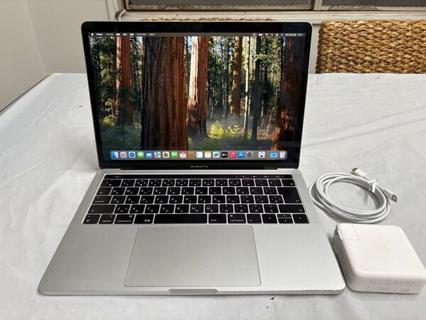 【バッテリー新品】Apple MacBookPro 2018 i5 16GB SSD512GB