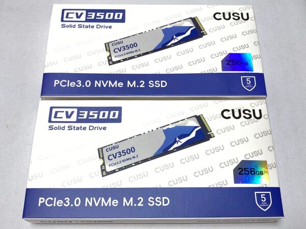CUSU CV3500 PCIe 3.0 NVMe M.2 SSD 256GB 2個
