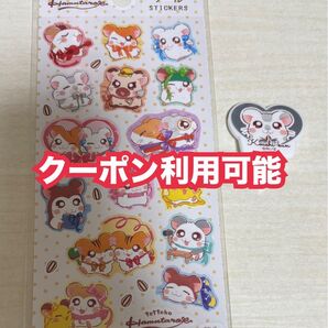 こうしくん