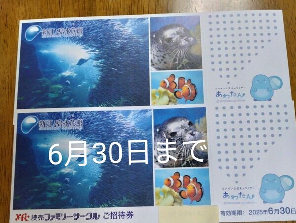 ★新江ノ島水族館 ご招待券2枚 有効期限:2025年6月30日