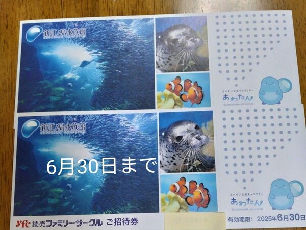 ★新江ノ島水族館 ご招待券2枚 有効期限:2025年6月30日