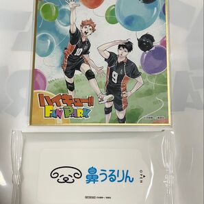 ハイキュー ファンパーク 入場特典 来場者記念品