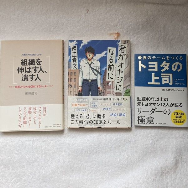 君がオヤジになる前に/堀江 貴文 最強のチームをつくる トヨタの上司 組織を伸ばす人、 潰す人 柴田励司