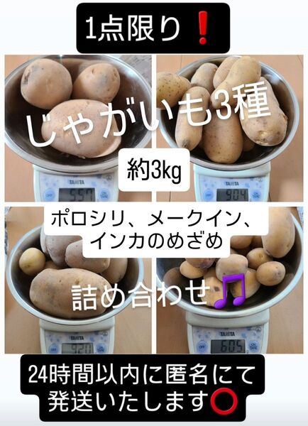 【早い者勝ち!】新じゃがいも 3種類 詰め合わせ ポロシリ メークイン インカのめざめ
