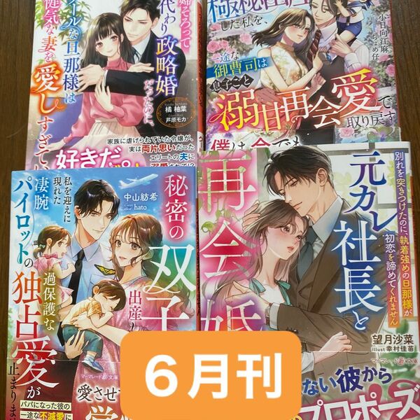 秘密の双子を出産したら、私を迎えに現れた凄腕パイロットの…(マーマレード文庫 ナ3-03) 中山紡希/著