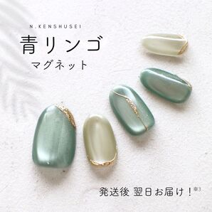 ネイルチップ マグネットネイル ニュアンスネイル ちゅるんネイル うるうるネイル ソフトチップ 大人ネイル グリーン 夏ネイル