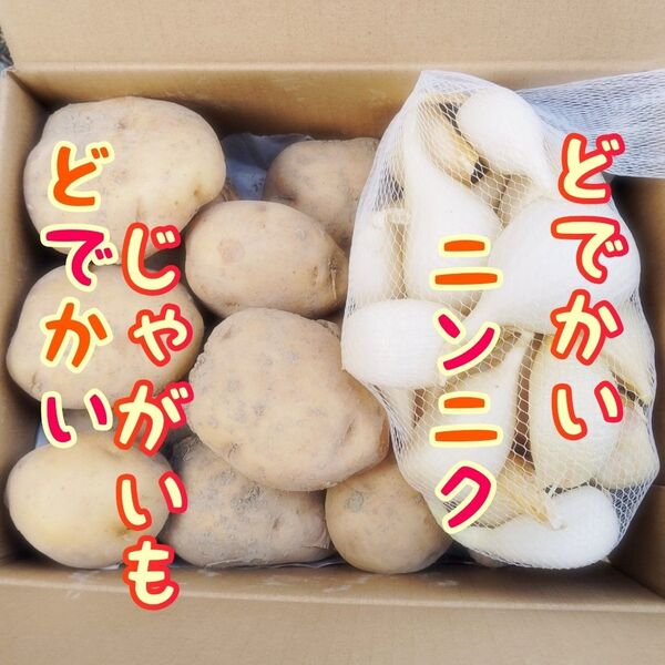 にんにく 新じゃがいもセット