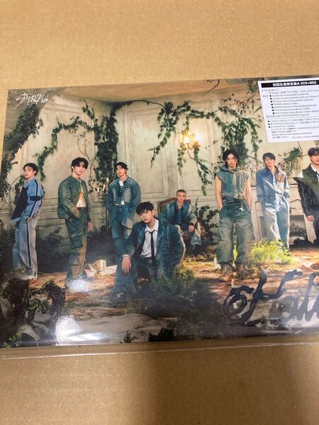 シリアル封入 Stray Kids Hollow(初回生産限定盤A) 新品未開封