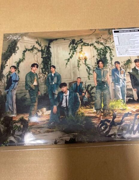 シリアル封入 Stray Kids Hollow(初回生産限定盤A) 新品未開封