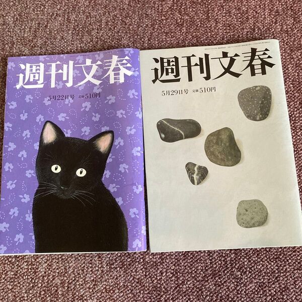 週刊文春5月22日号 5月29日号2冊セット