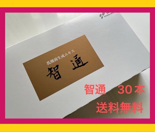 智通 乳酸菌生成エキス 30本