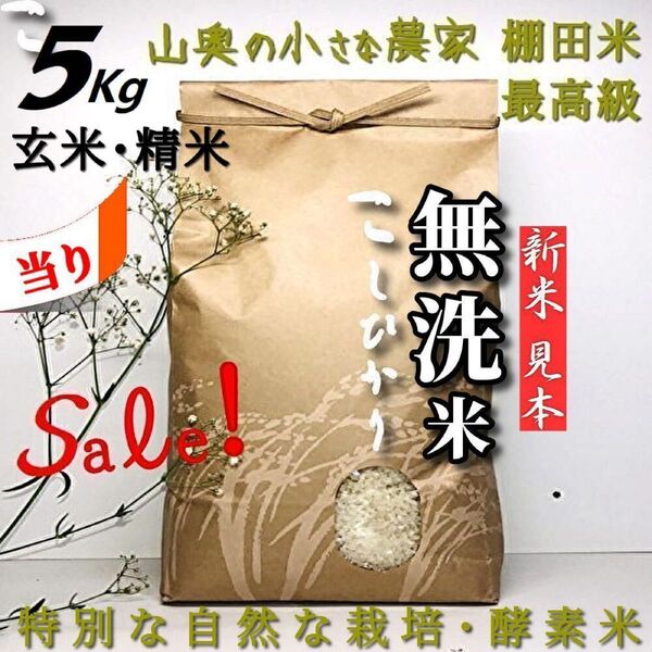 【希少】コシヒカリ 酵素米 玄米5kg「無洗米に精米」 (ミルキークィーン ミルキークイーン つや姫)