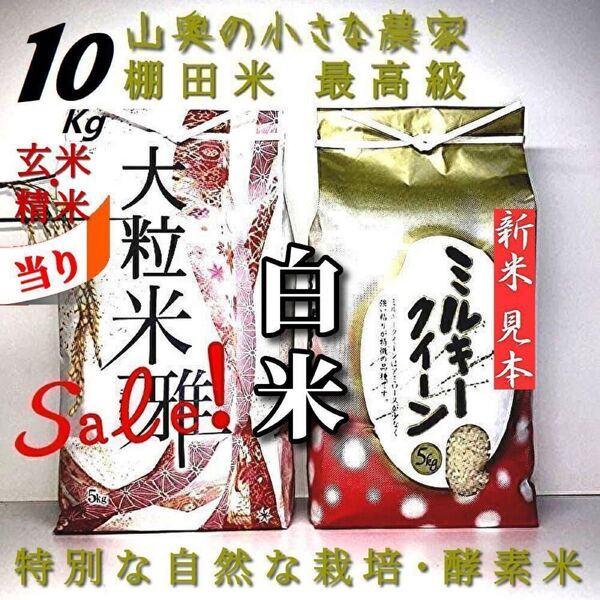 【食べ比べ】酵素米 ミルキークィーン と 大粒ダイヤ 計 玄米10kg「標準白米に精米」 (コシヒカリ つや姫 ミルキークイーン)