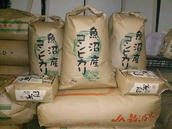 南魚沼産コシヒカリしおざわ西山地区 令和6年産玄米20kg