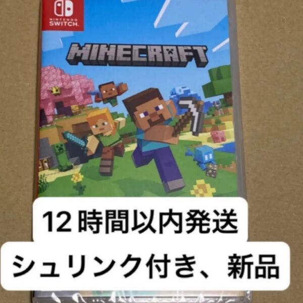 新品 シュリンク付き Nintendo Switch Minecraft