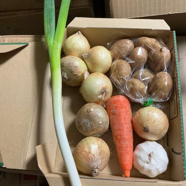 野菜詰め合わせ!じゃがいも玉ねぎにんじんニンニクねぎ