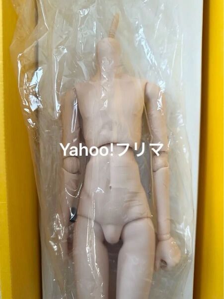 ボークス DDS ベースボディ boy 鏡音レン body ボーイタイプ フレッシュ肌 ドルフィードリーム