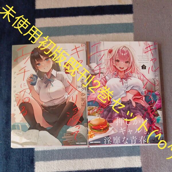 未使用 全巻初版本セット 既刊2巻セット ギャルがオタクの家に入り浸って沼る アンソロジー