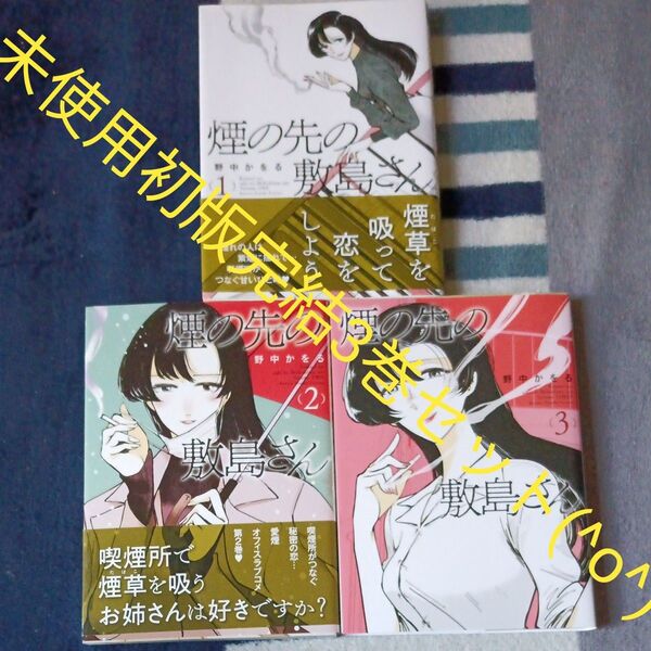 未使用 全巻初版本セット 全巻完結3巻セット 煙の先の敷島さん (YKコミックス) 野中かをる/著