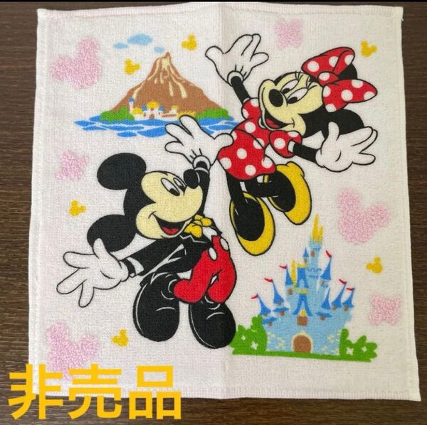 【新品】【非売品】東京ディズニーランド タオルハンカチ