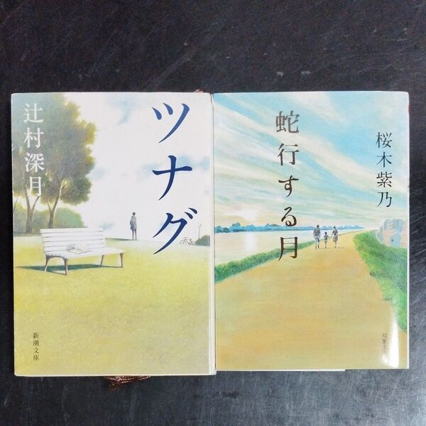 【2冊380円セット】(本の入れ替え可能) ツナグ 辻村深月/著 蛇行する月 桜木紫乃/著
