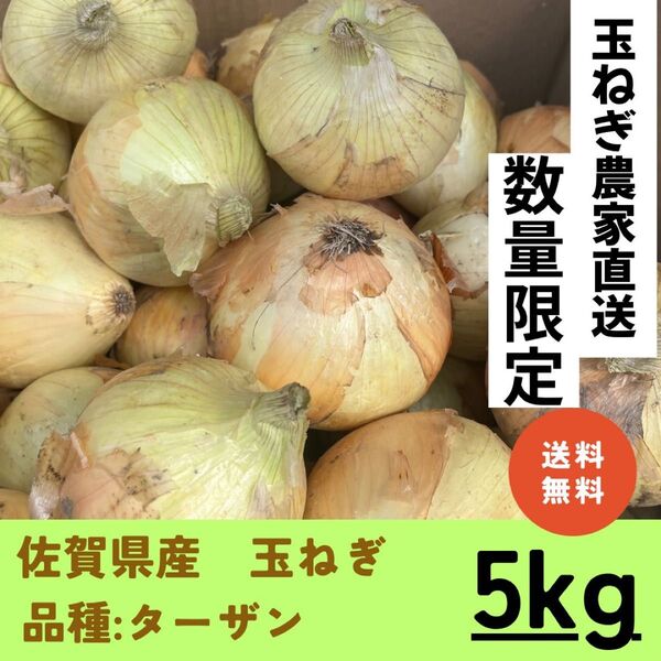 【佐賀県白石町産】甘くてやわらかい玉ねぎ(5kg・送料込み)
