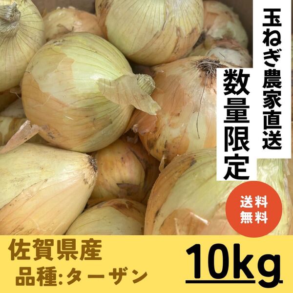【佐賀県白石町産】玉ねぎの王様 ターザン 減農薬・甘くてやわらかい玉ねぎ(5kg・送料込み)