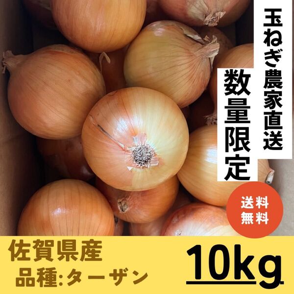 【佐賀県白石町産】減農薬・甘くてやわらかい玉ねぎ(10kg・送料込み)ターザン