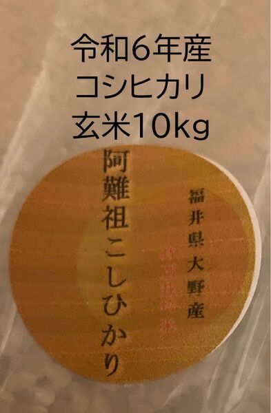 阿難祖コシヒカリ 特別栽培米 玄米 令和6年産 福井産 10kg(10kg × 1袋) 全国配送無料