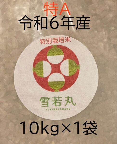 雪若丸 特別栽培米 玄米 10kg (10kg × 1袋) 山形県産 令和6年産 全国配送無料