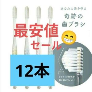 【正規品】奇跡の歯ブラシ バージョンアップ品 大人用歯ブラシ 衛生用品 仕上げ磨き 虫歯予防 12本 wtsu8m