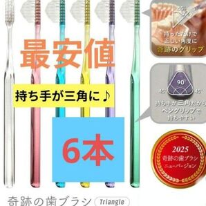 【正規品】奇跡の歯ブラシ 持ち手が三角 リニューアル品 大人用歯ブラシ 衛生用品 仕上げ磨き 虫歯予防 6本 gawtk