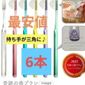 【正規品】奇跡の歯ブラシ 持ち手が三角 リニューアル品 大人用歯ブラシ 衛生用品 仕上げ磨き 虫歯予防 6本 t2wp4mt