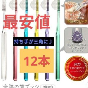 【正規品】奇跡の歯ブラシ 持ち手が三角 リニューアル品 大人用歯ブラシ 衛生用品 仕上げ磨き 虫歯予防 12本 t5mqgj