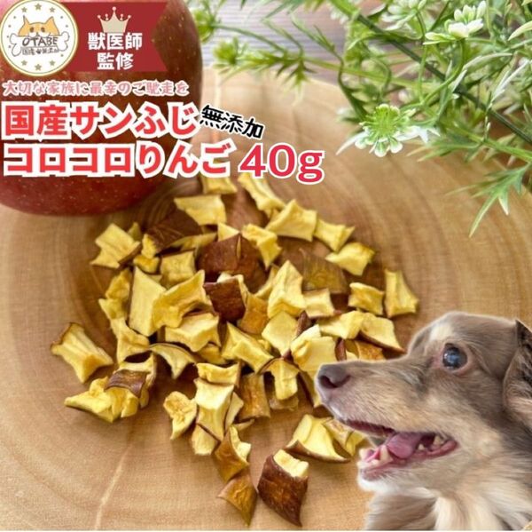無添加 国産 犬 おやつ りんご グルテンフリー グレインフリー フルーツ ドライフルーツ 40g