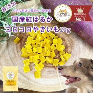 無添加 国産 犬 おやつ さつまいも 紅はるか グルテンフリー グレインフリー 干し芋 20g