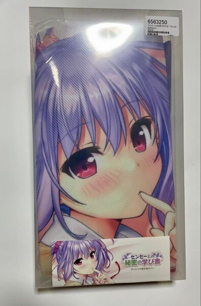 【未開封】オーガスト あいりすミスティリア! センセーとの秘密の学び舎 ヴァレリア 抱き枕カバー / 夏野イオ