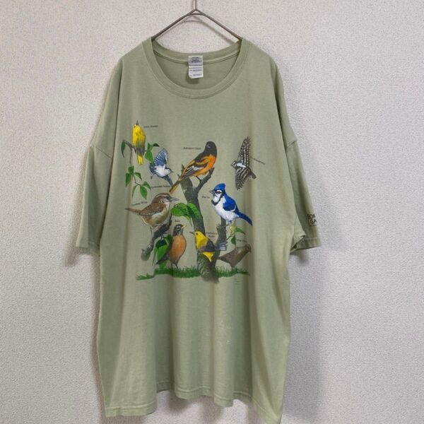 古着 鳥 Tシャツ 自然 動物 アニマル バード ネイチャー 博物館 XXL 半袖プリントTシャツ 半袖Tシャツ