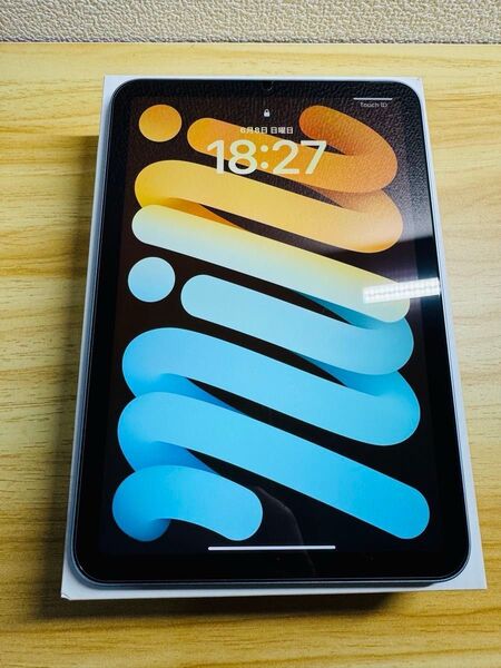 iPad mini(A17pro)128GB Wi-Fi ブルー