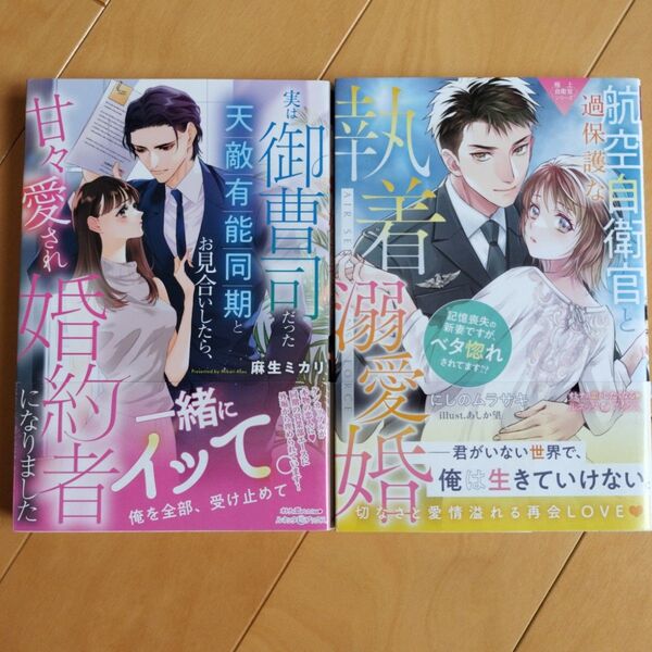 ルネッタブックス TL小説 2冊 まとめ売り tl小説 恋愛小説 ロマンス小説 小説 にしのムラサキ 麻生ミカリ