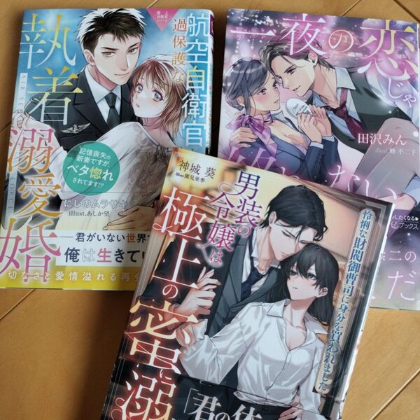 ルネッタブックス TL小説 3冊 まとめ売り tl小説 恋愛小説 ロマンス小説 ノベルス にしのムラサキ 田沢みん 神城葵