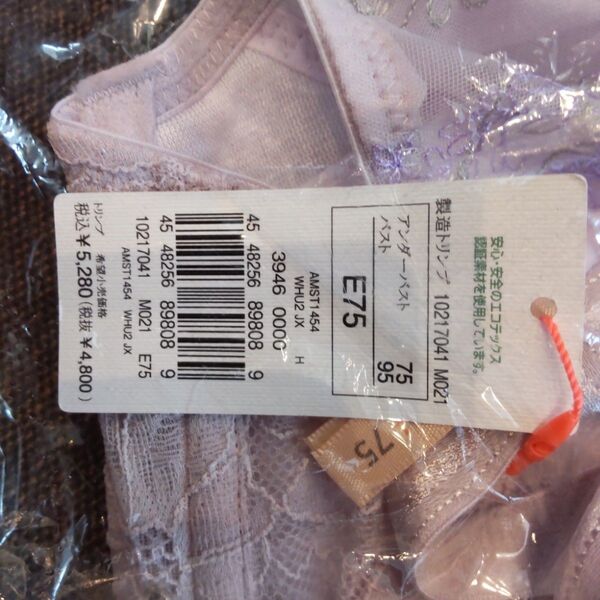 新品 アモスタイル トリンプ ブラジャー エアリーフィールブラ フォレストフェアリー紫 E75 AMST1454 WHU2 JX