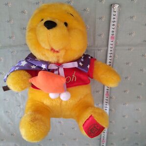 くまのプーさん ハロウィン Winnie the Pooh ディズニー