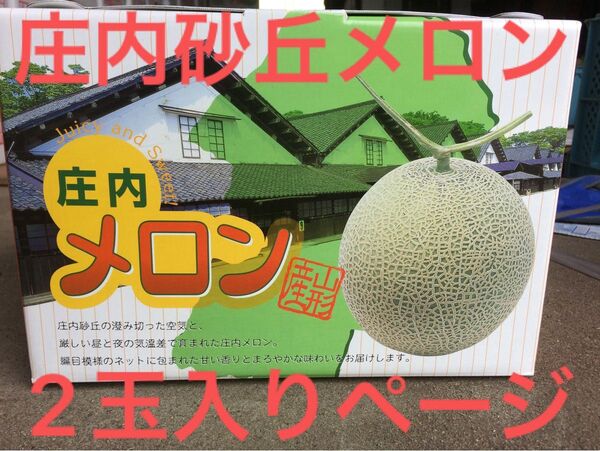 当日収穫!メロン農家直送!庄内砂丘メロンA級品