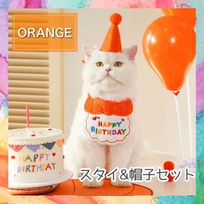 ペット 誕生日 衣装 バースデー 犬 猫 スタイ 帽子 わんちゃん ねこちゃん オレンジ