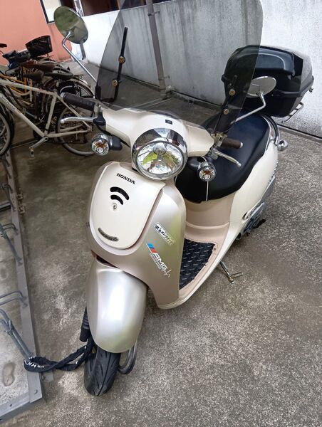 HONDA Giorno ジョルノ パールツートン 原付 スクーター