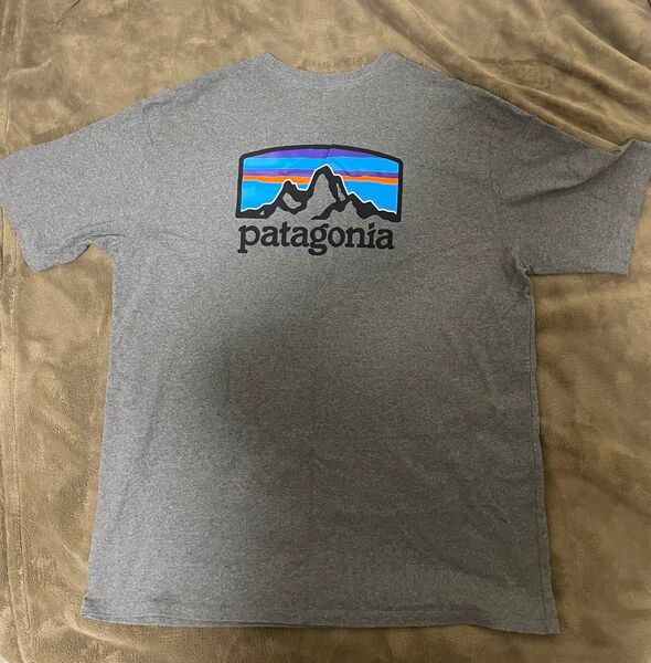 パタゴニア Mサイズ Tシャツ レギュラーフィット レスポンシビリティー